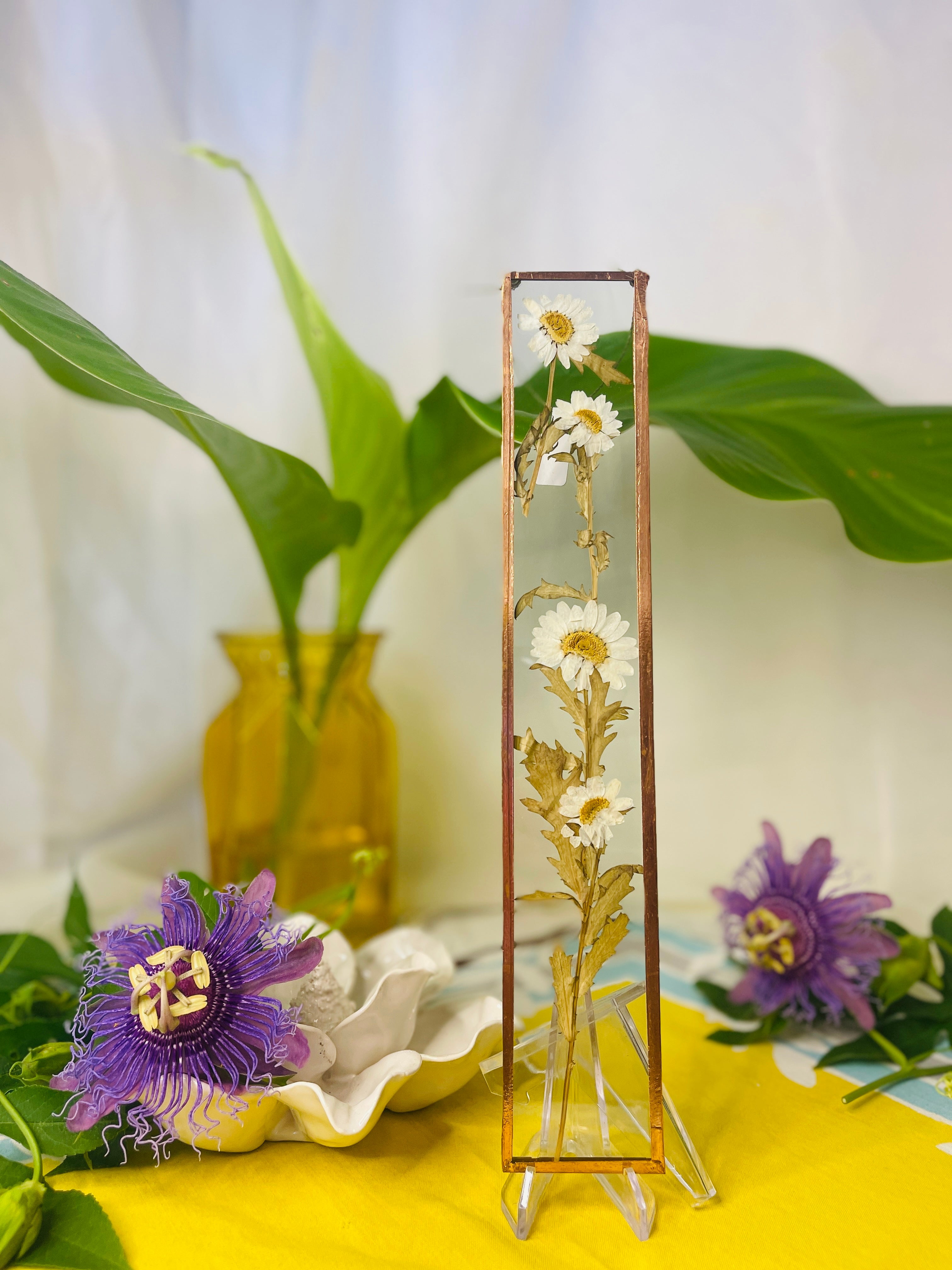 Pressed Flower Frame-Daisies