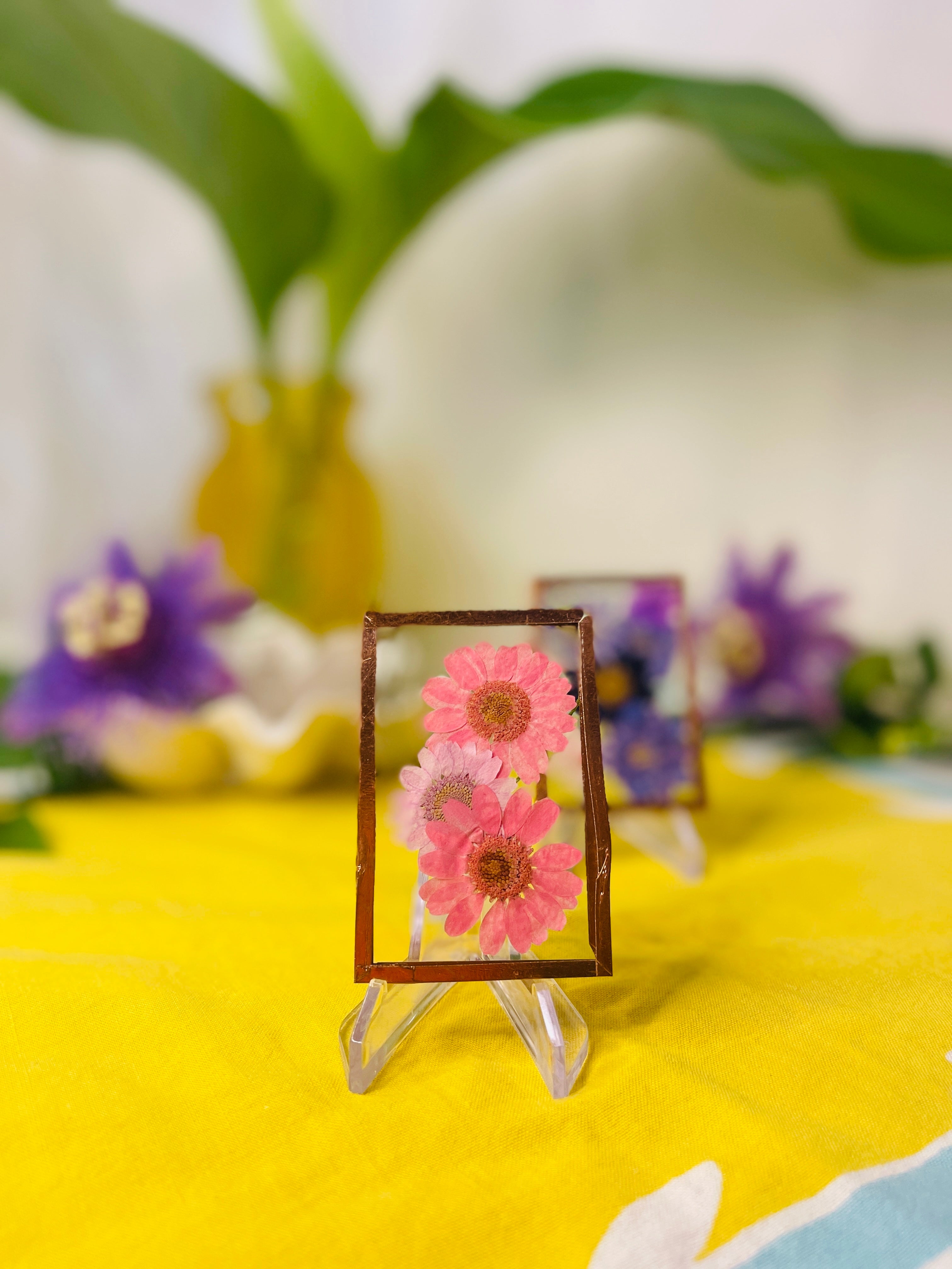 Pressed Flower Frame- Pink Daisies