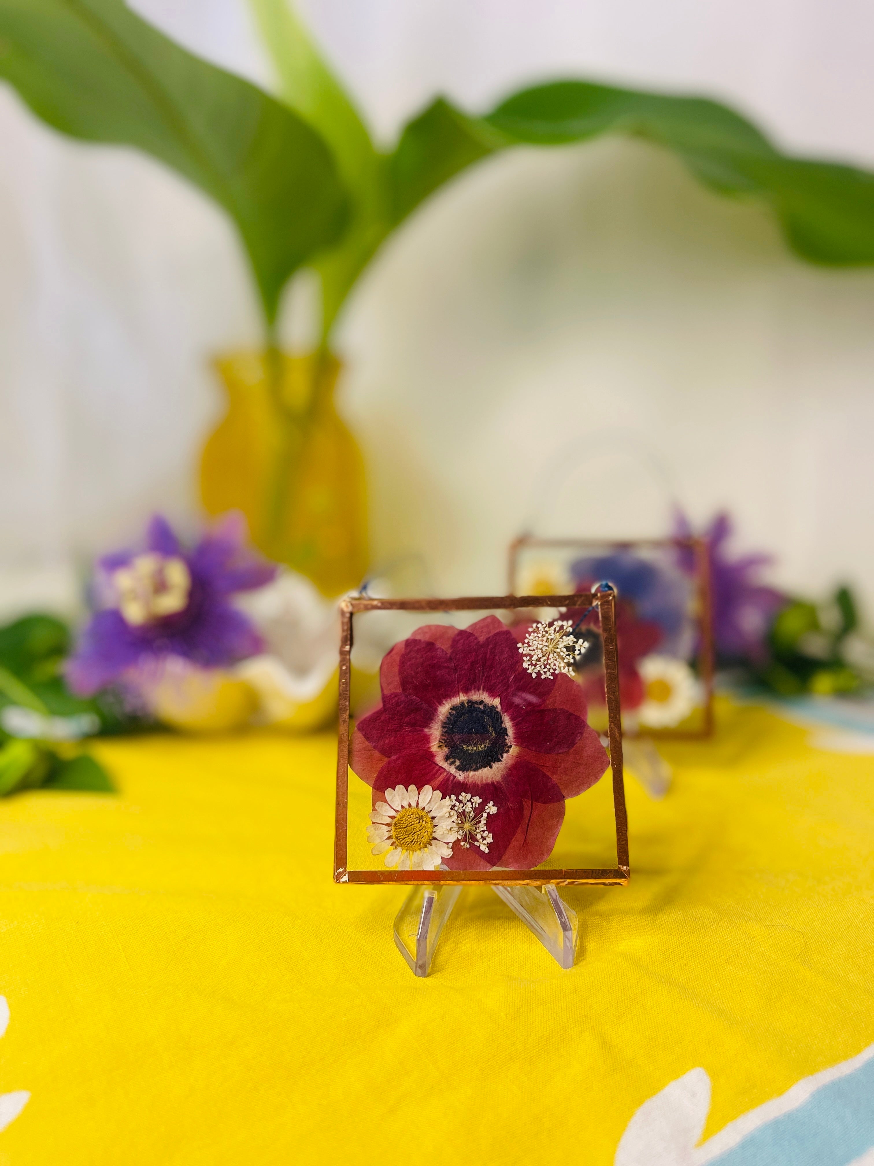 Pressed Flower Frame Red Anemone & White Daisy