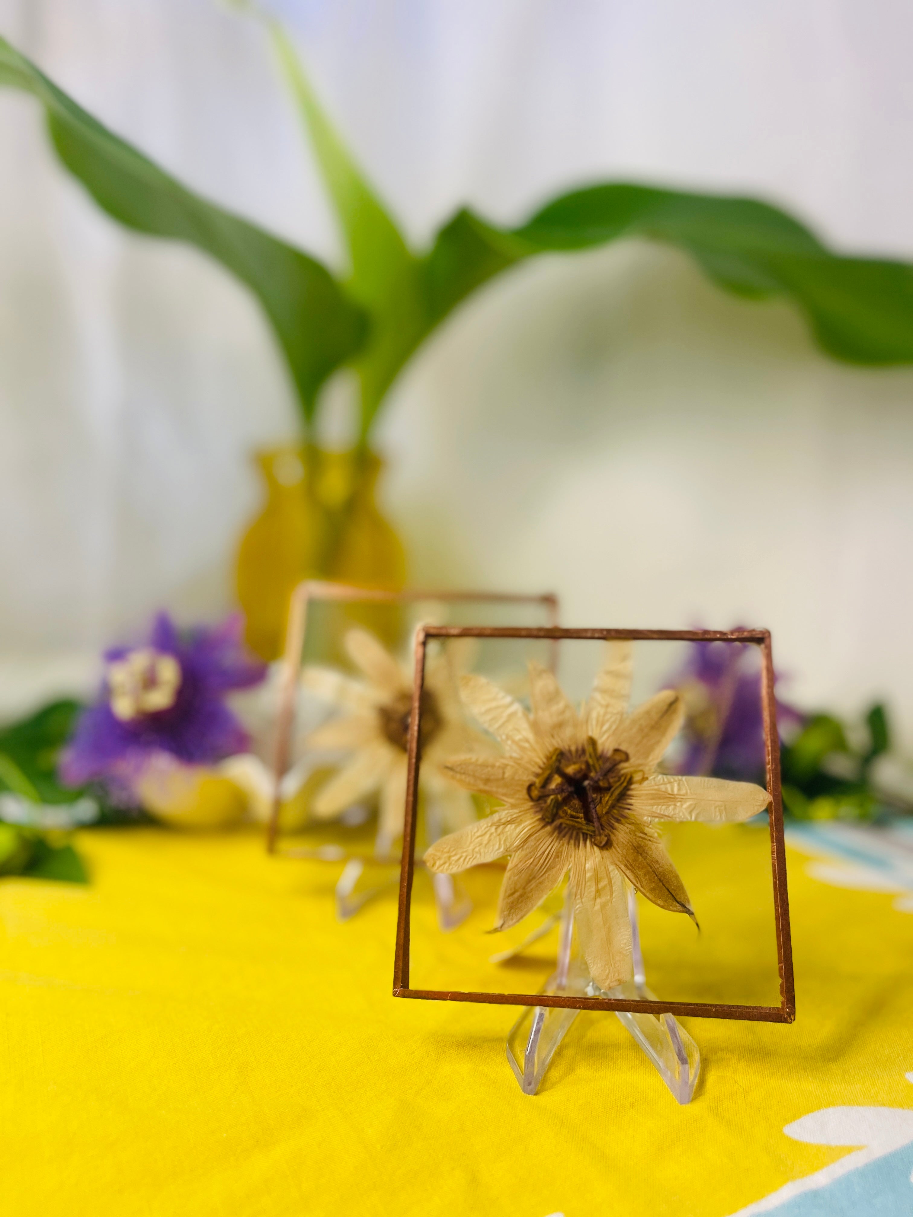 Pressed Flower Frame- Passion Flower