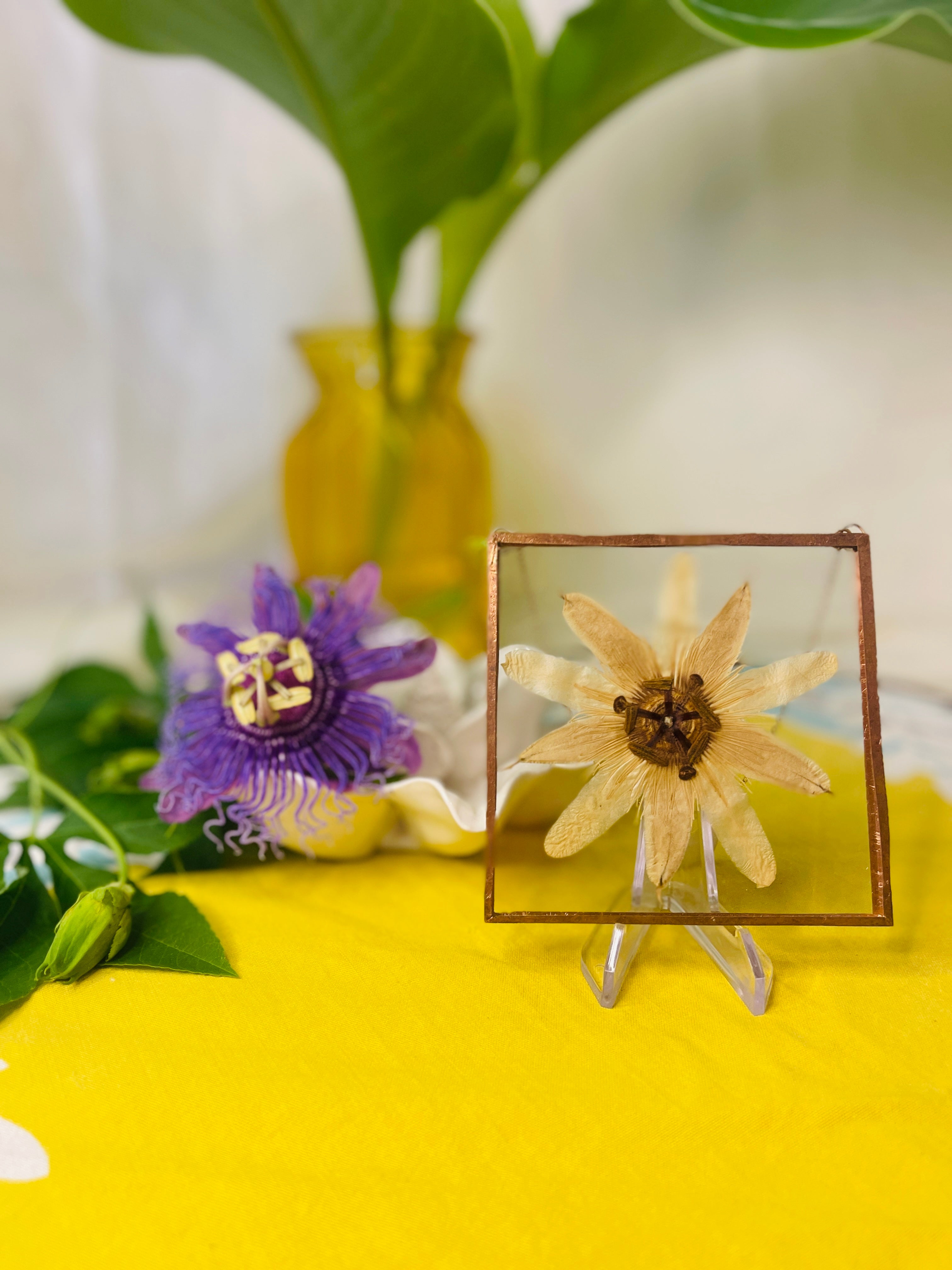 Pressed Flower Frame- Passion Flower