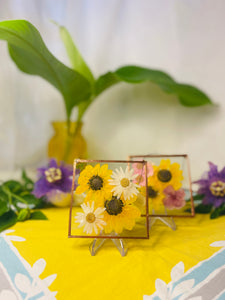 Pressed Flower Frame- Sunflowers & White Daisies