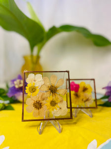 Pressed Flower Frame- Yellow Daisies & Cosmos