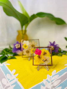 Pressed Flower Frame- Yellow Cosmo & Pink Hydrangea