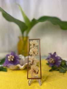 Pressed Flower Frame