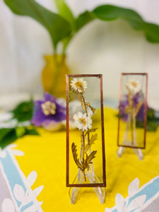 Pressed Flower Frame