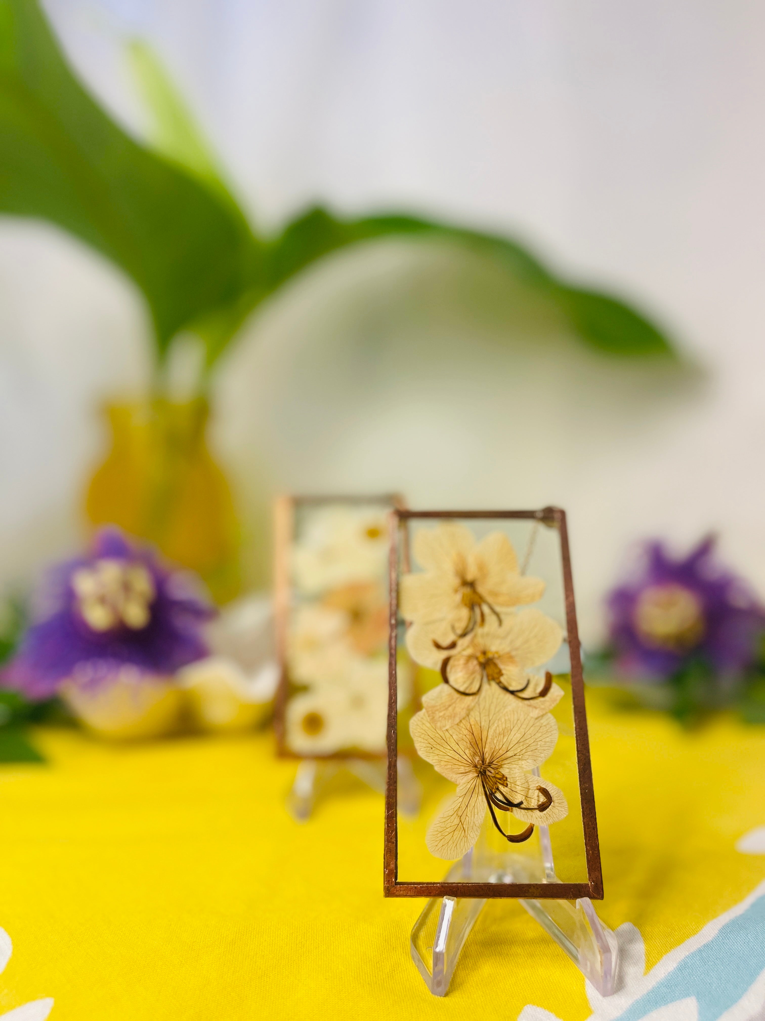 Pressed Flower Frame