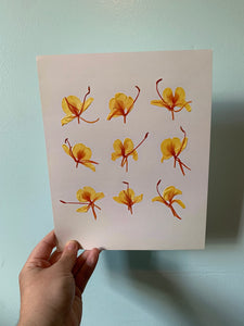 Real Pressed Flower Print | Art Replication | Giclee Print | Preserved Flowers | Gift | Nature Lover